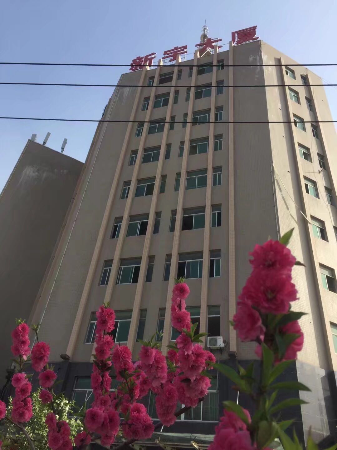 微信图片_20190113144315.jpg 微信图片_20190113144315.jpg